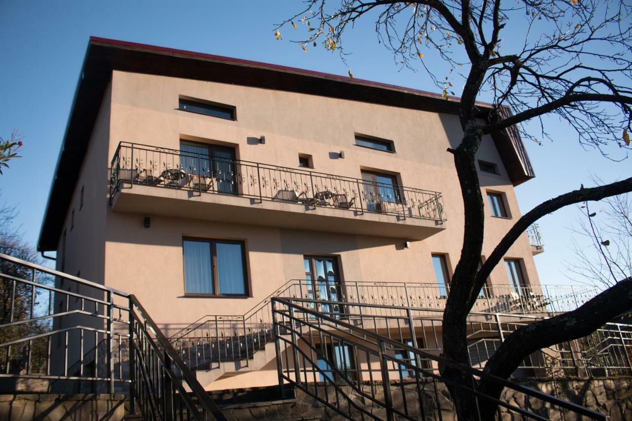 Hotel Panoramic Baia-Sprie Esterno foto