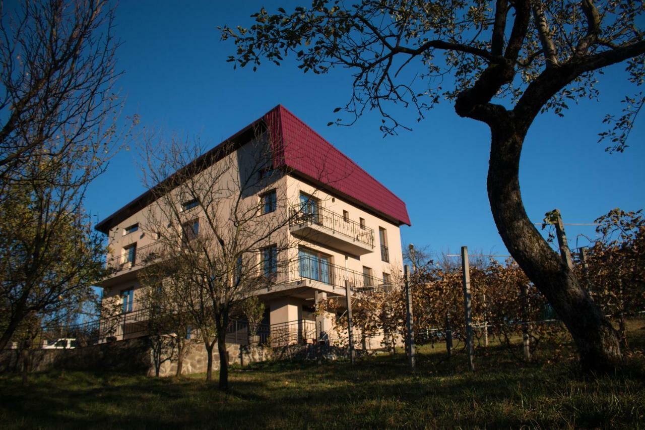 Hotel Panoramic Baia-Sprie Esterno foto